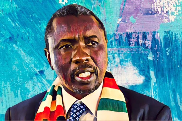 US-sanctioned Zimbabwean billionaire Kudakwashe Tagwirei has been sworn in as a senator