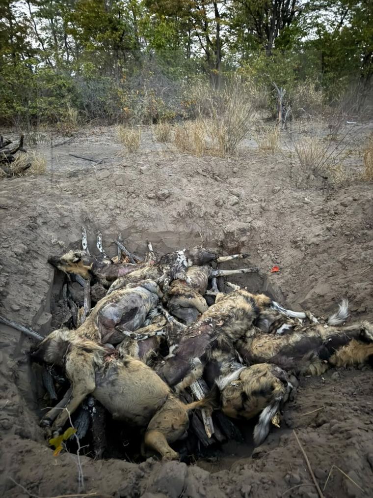 Official warns about dangers of